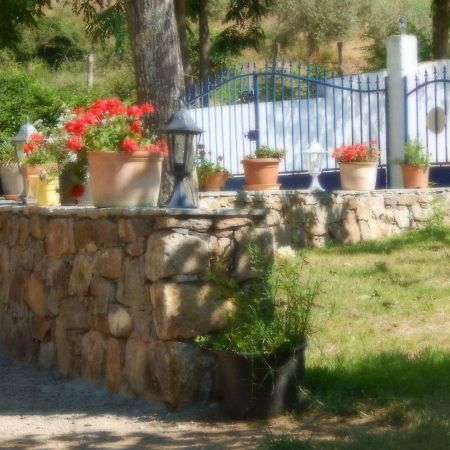 Ernella Ξενοδοχείο Aléria Εξωτερικό φωτογραφία